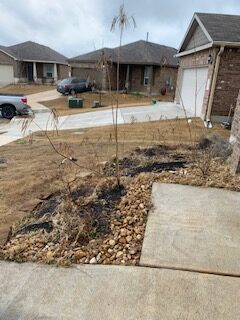 IMG_9176 Front Yard (Before)